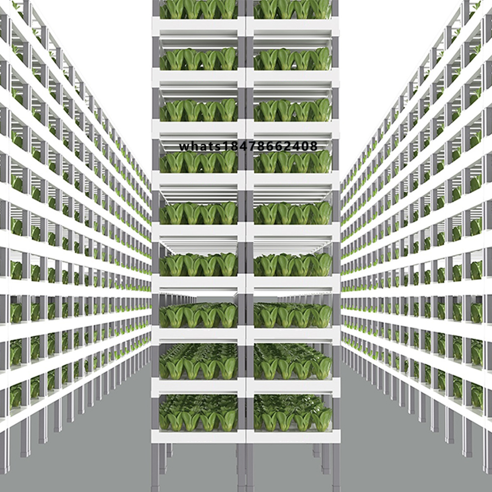 Farming System & Sustainable Agriculture - App Controlled Smart Hydroponics System Indoor