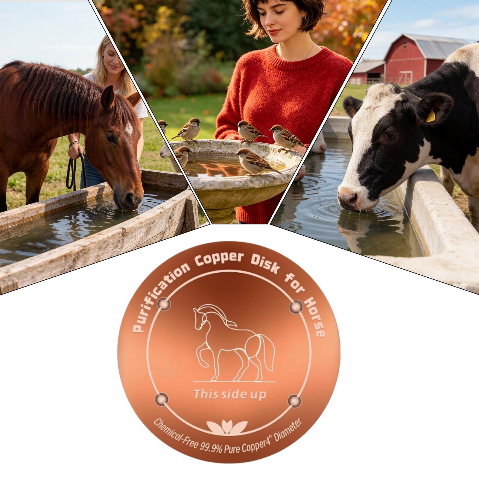 4 Inch Copper Purifier Cow Wat - огляд і ціна Farming & Agriculture Word Stacks