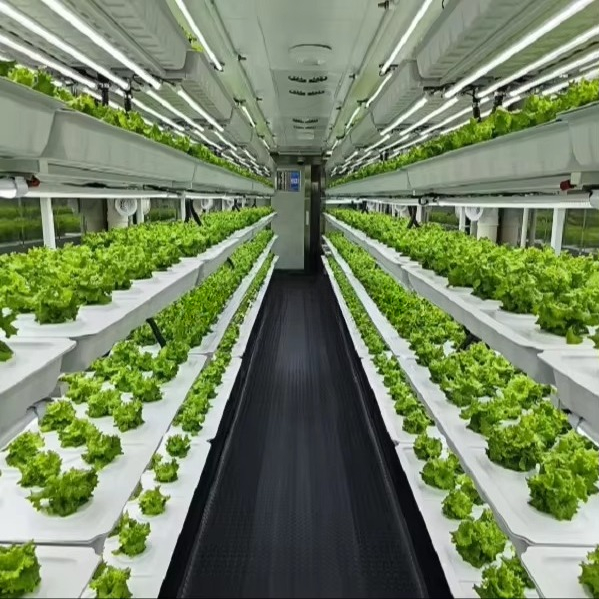 Smart Automatic Aeroponic/Aqua - огляд і ціна Farming & Agriculture Word Stacks