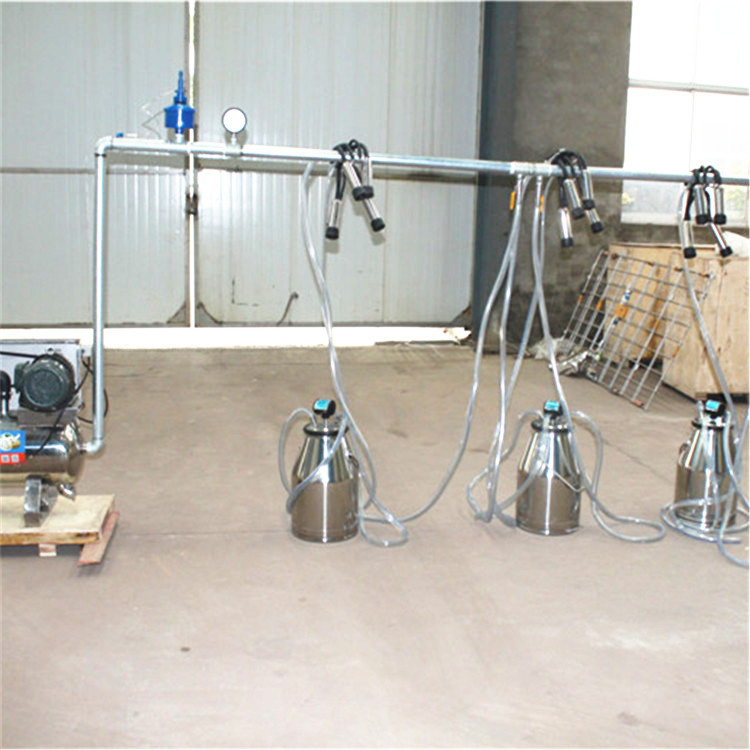 Milking Machine, Fixed System  - огляд і ціна Farming System & Sustainable Agriculture