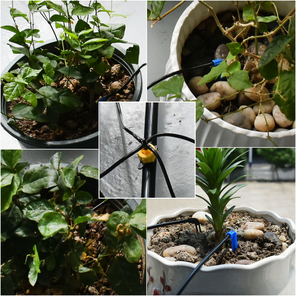 Greenhouse Potted Curved Arrow - огляд і ціна Irrigation Drip Tape
