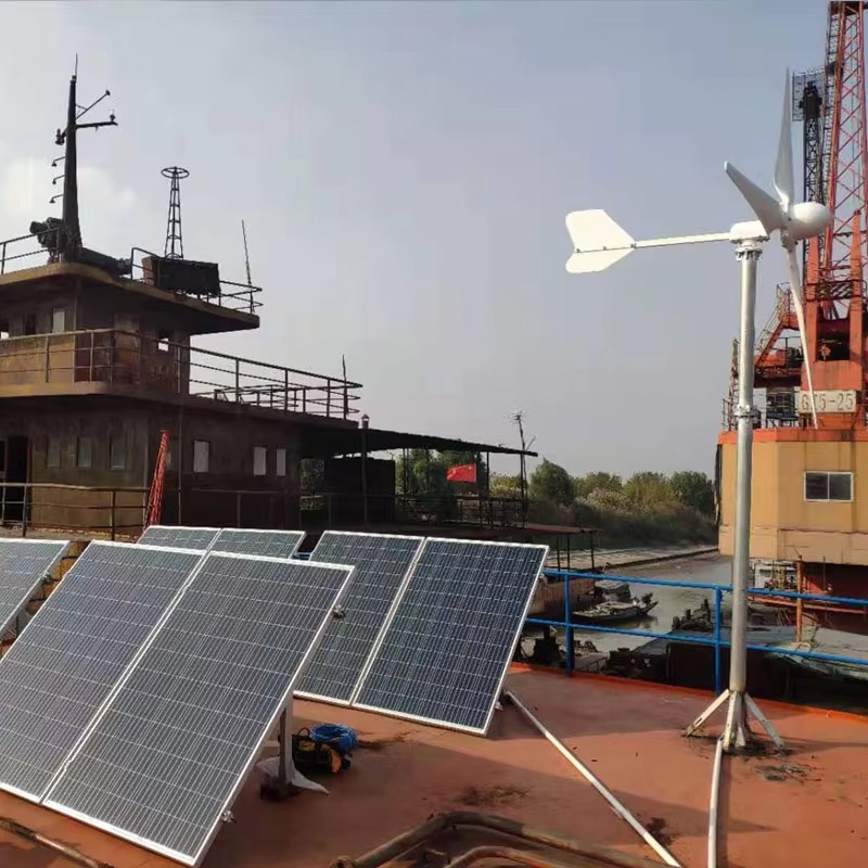 【Best-selling】3KW Wind Solar H - огляд і ціна Farming System & Sustainable Agriculture