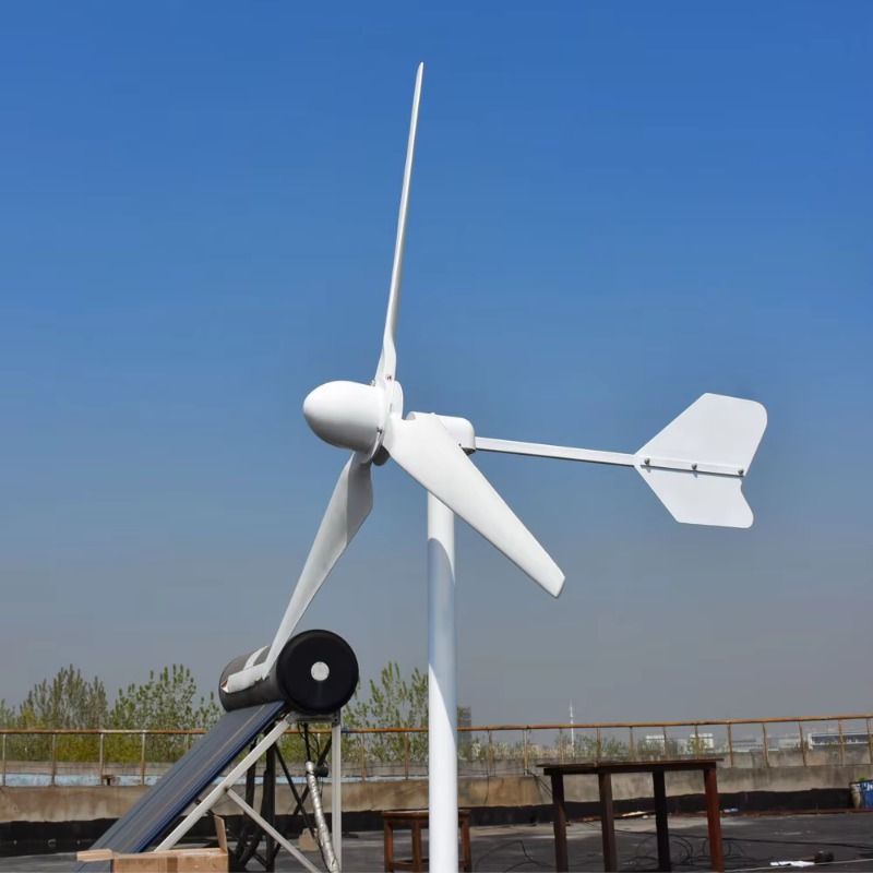 【Best-selling】3KW Wind Solar H - огляд і ціна Farming System & Sustainable Agriculture