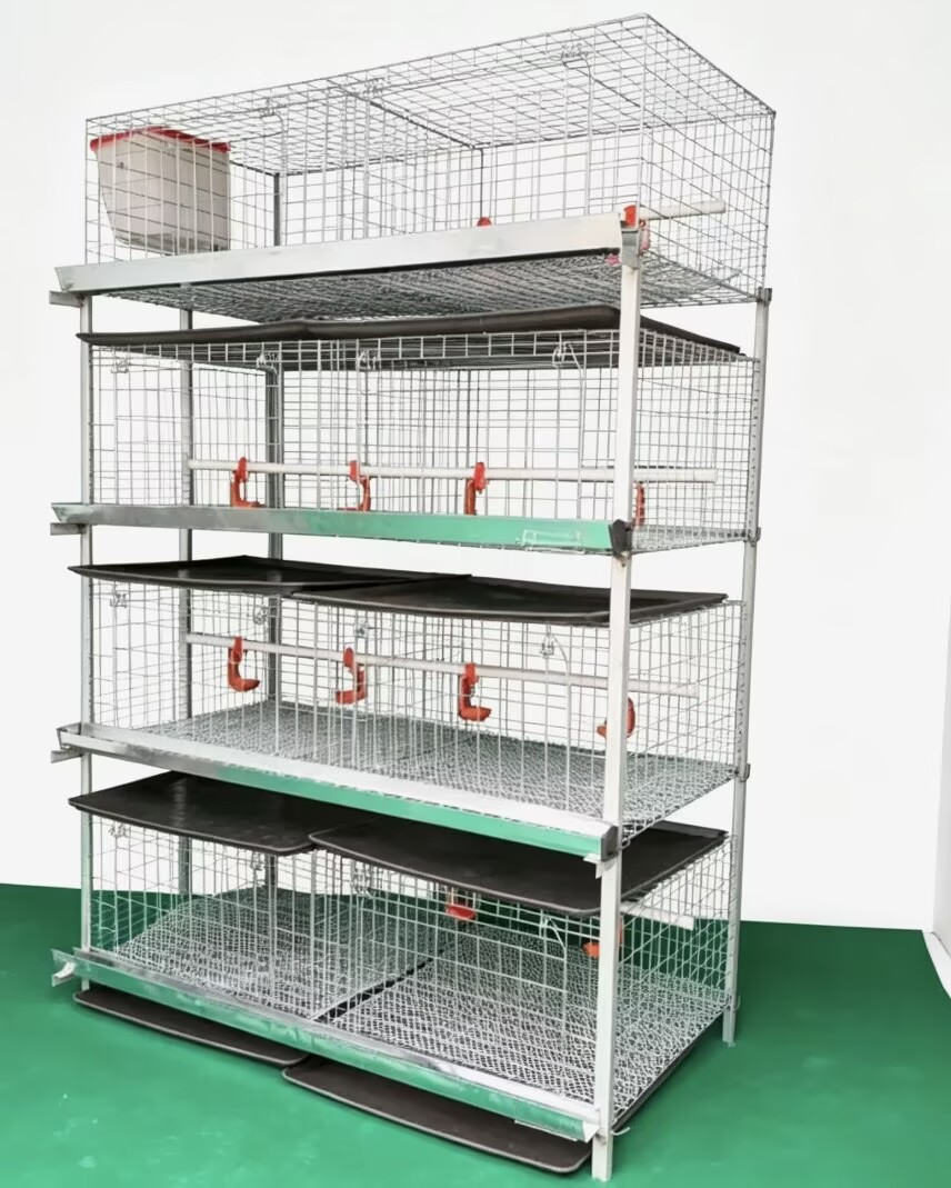 New H Type Broiler Chicken Cag - огляд і ціна Farming System & Sustainable Agriculture