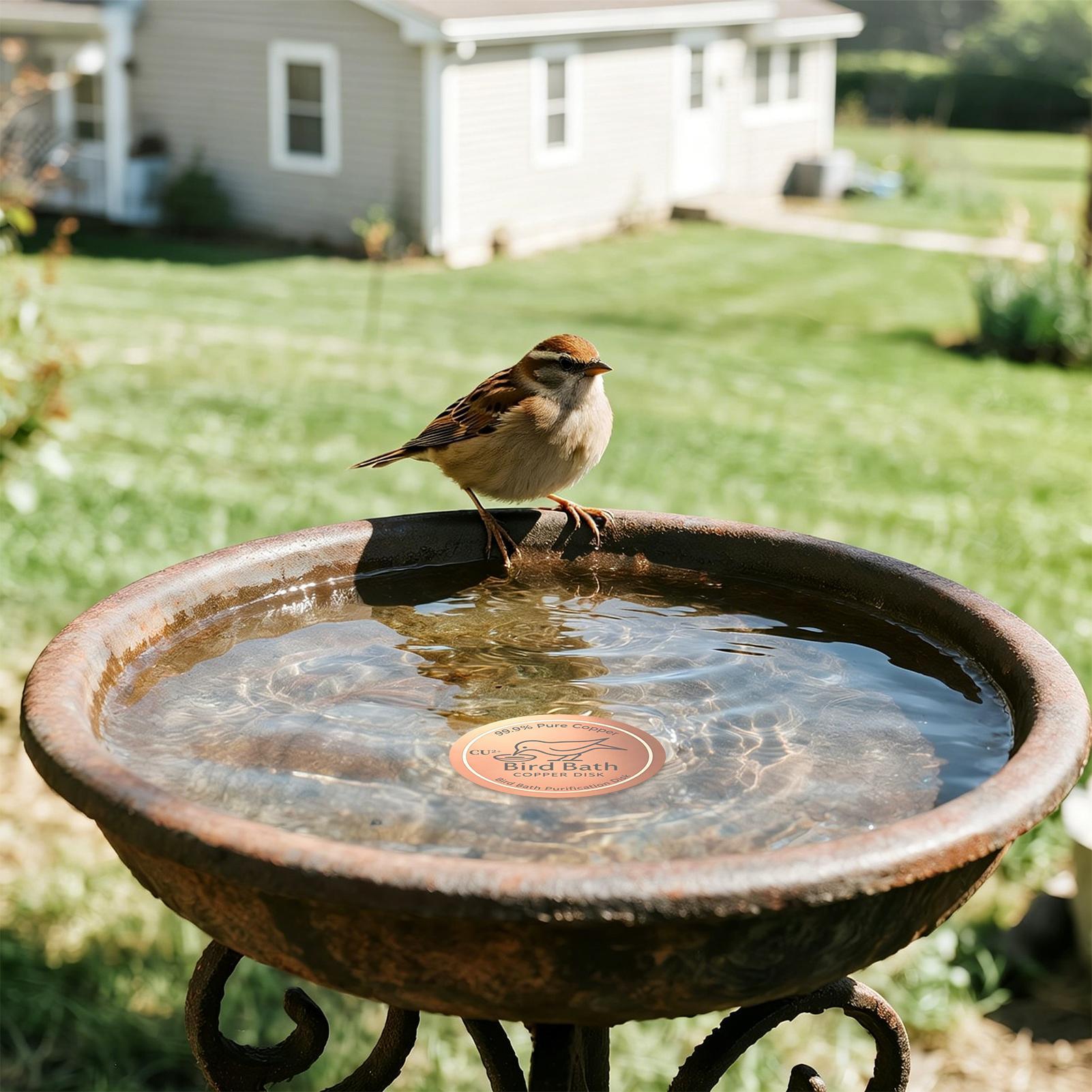 Bird Bath Copper Disc 0.6mm Th - огляд і ціна Farming & Agriculture Word Stacks